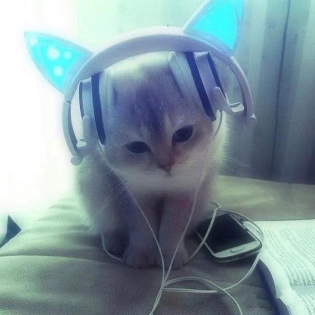 钱都到我口袋来