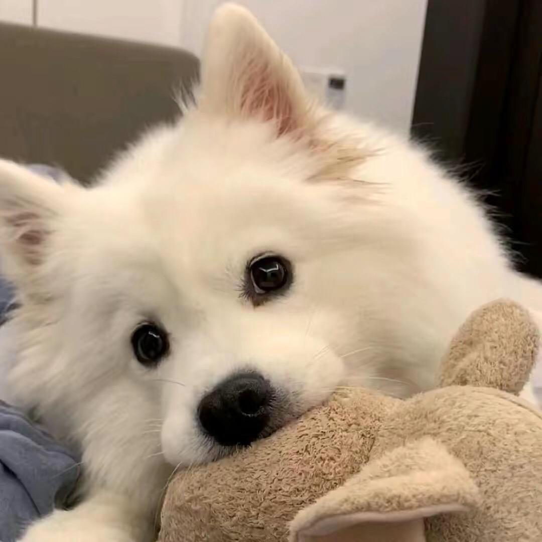 Lnini_💗