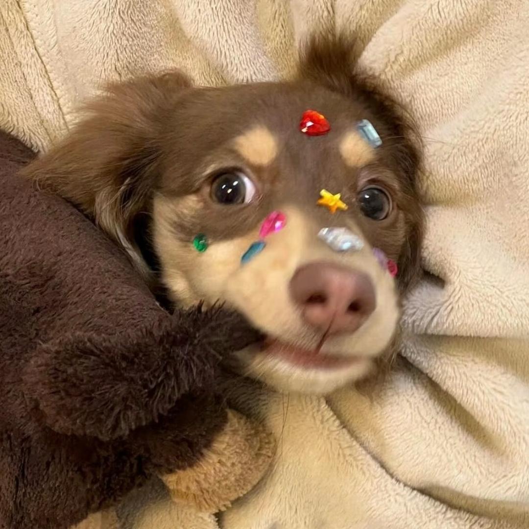 超爱7