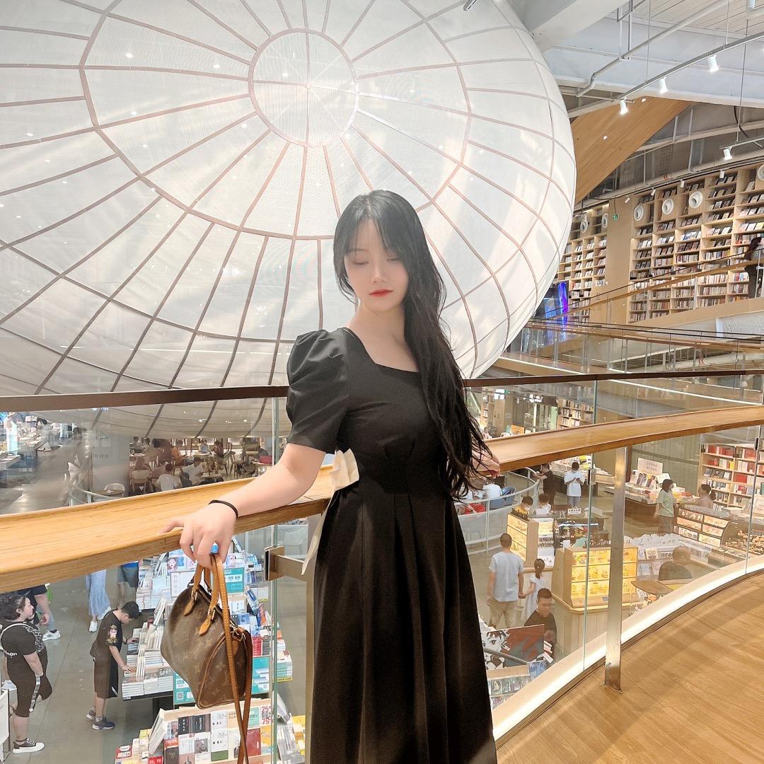 白银小燕子