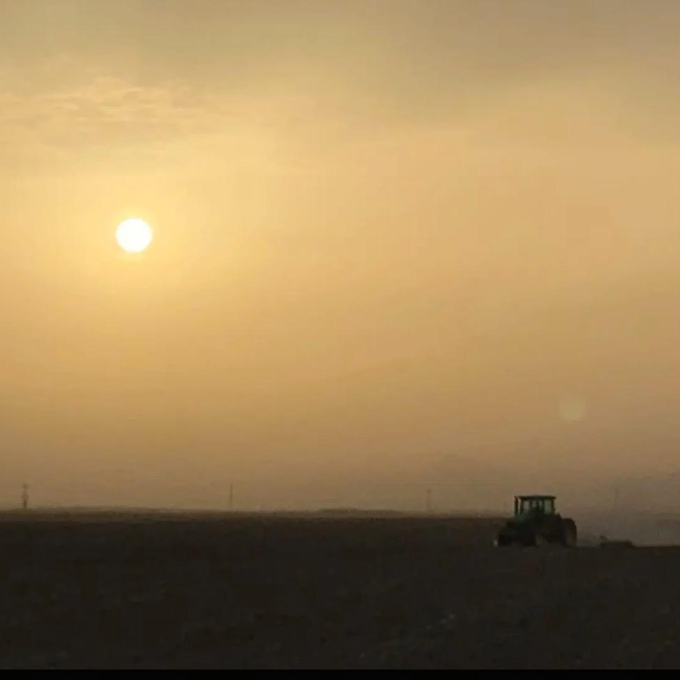 是瑞瑞哈（日常）