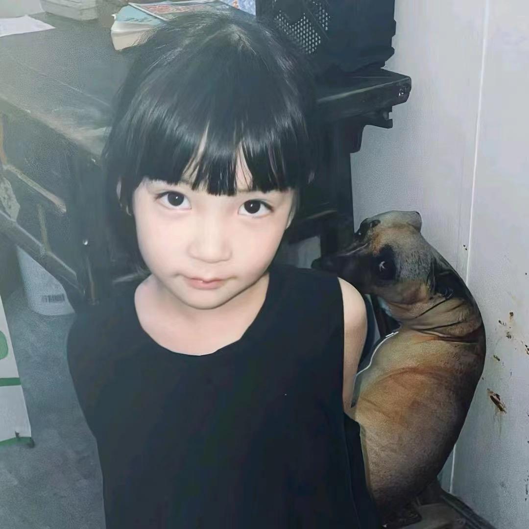 杰杰