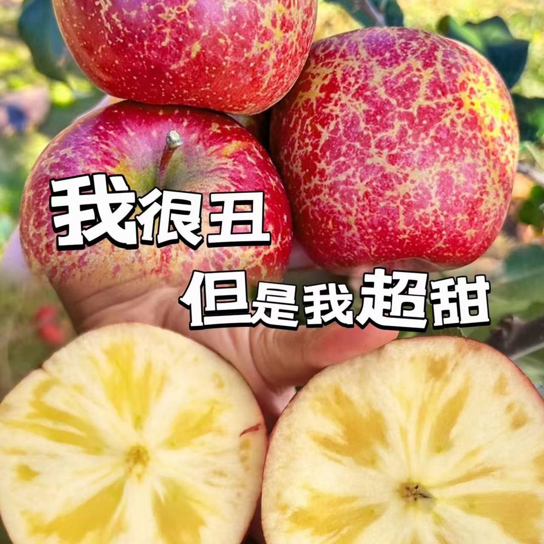 布谷鸟生鲜直供