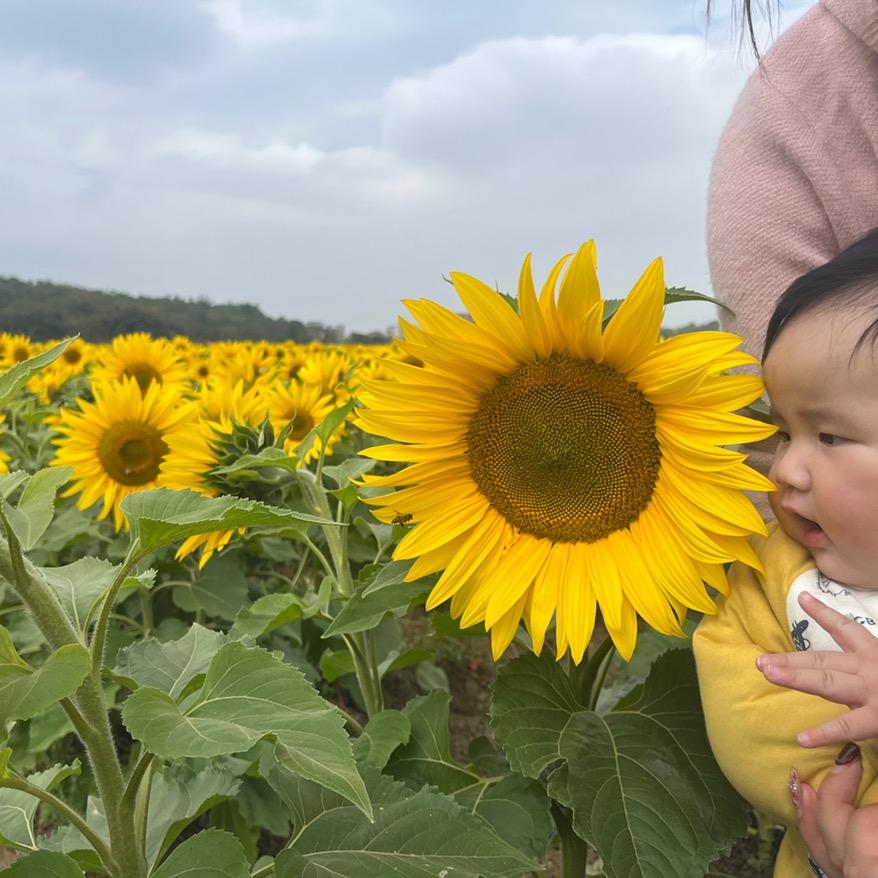 普宁年轻家-入户门精选