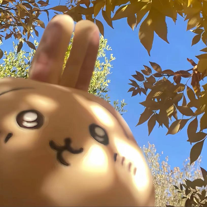 敢爱敢恨美少女