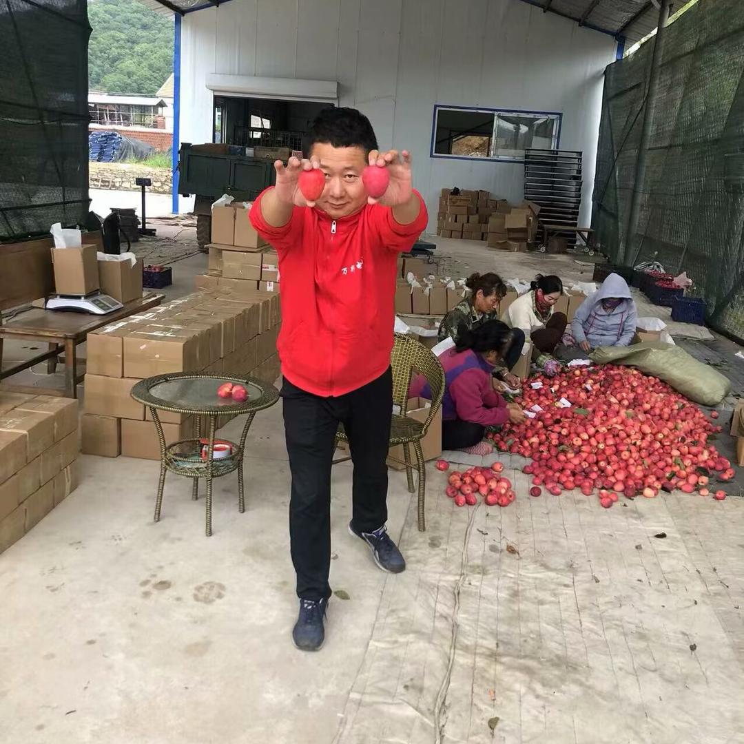 陈晓峰