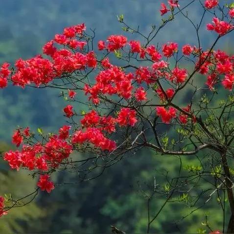 啄木乌우우换季清仓了