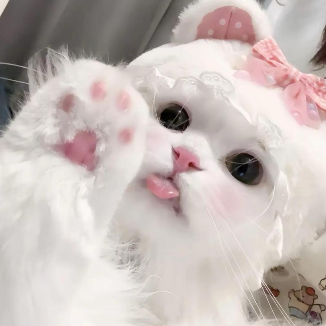 崽 崽Zzz