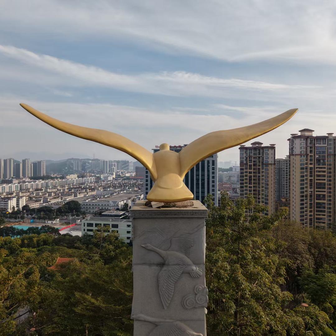 航飞深圳