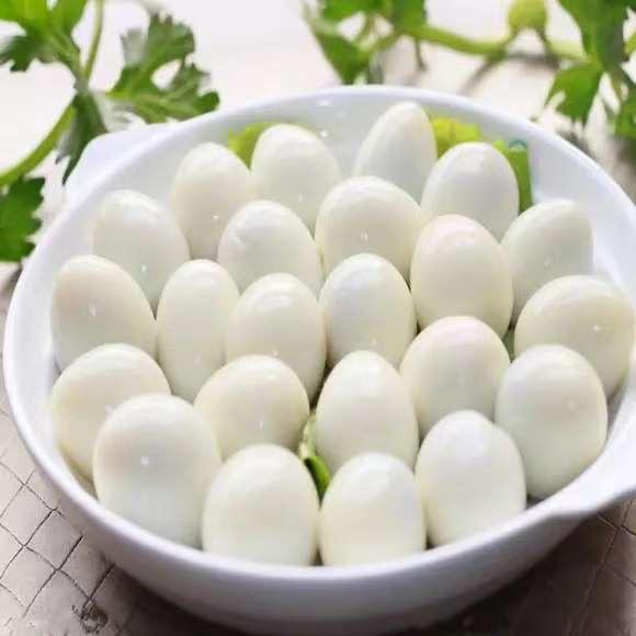 吐个泡泡
