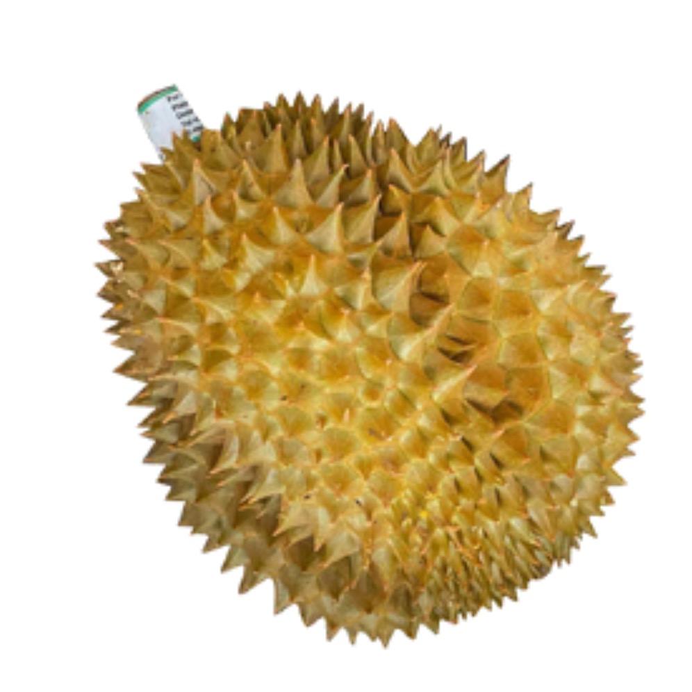 清蒸一口气