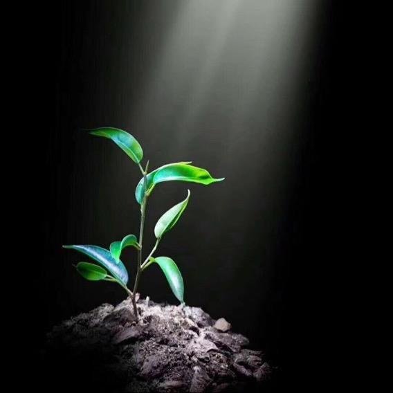 融汇广告文化传媒