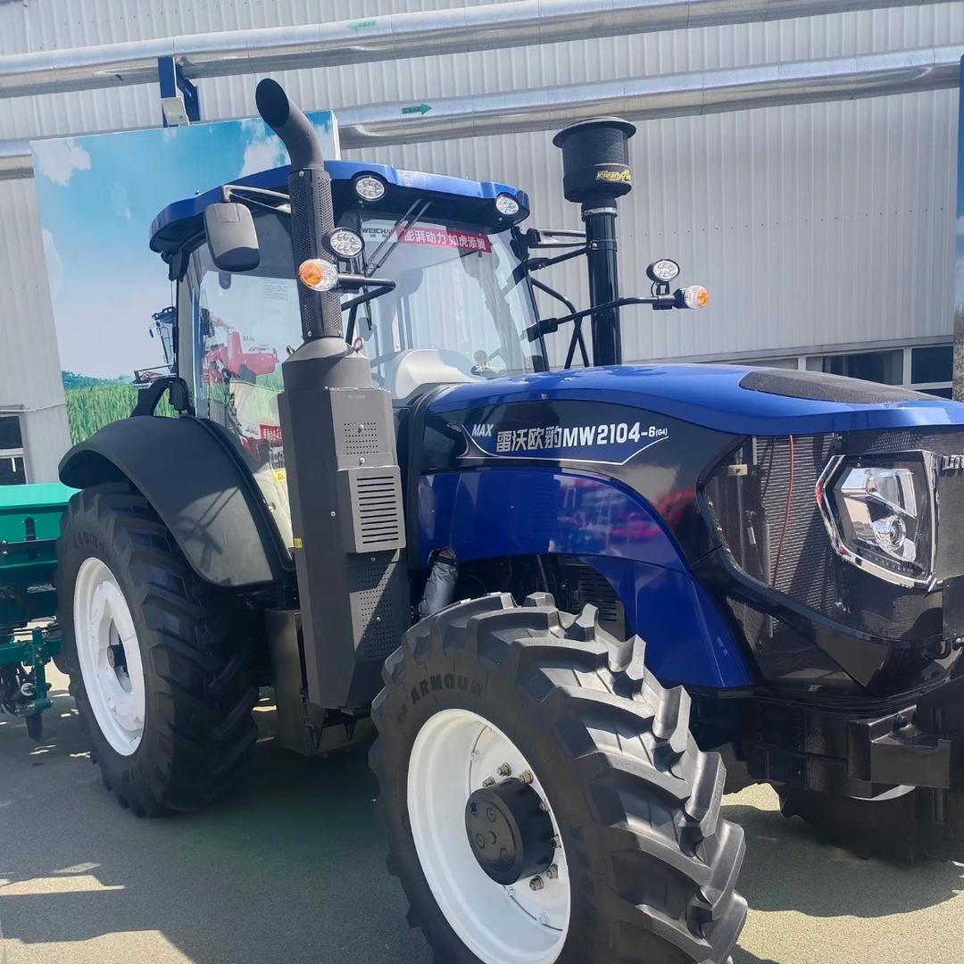 善恶到头终有报