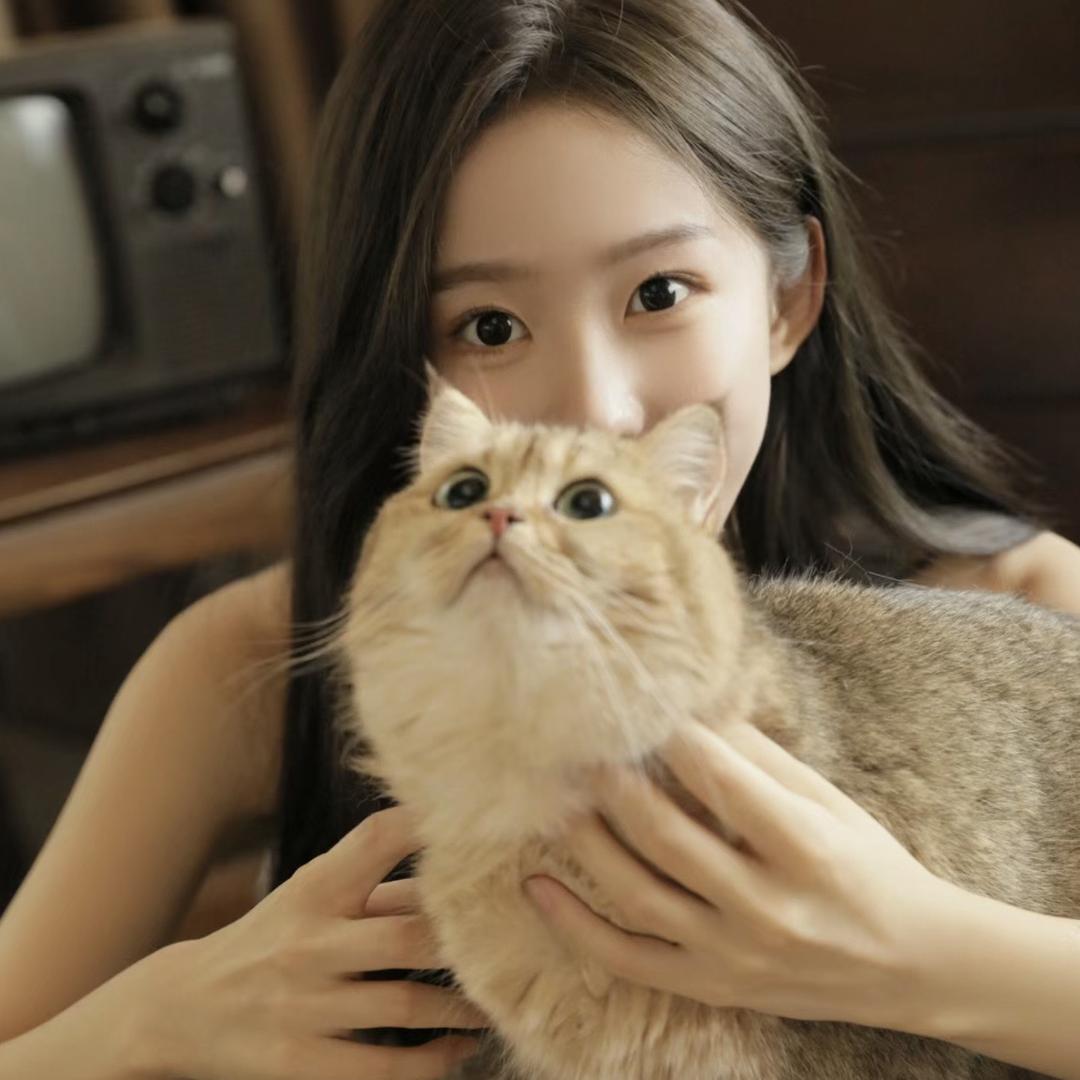 树宝猫宁吖✨