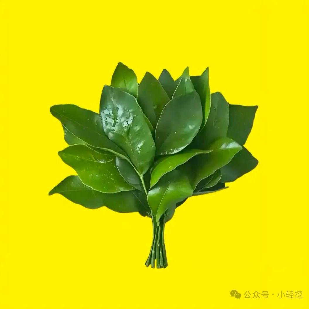 代代
