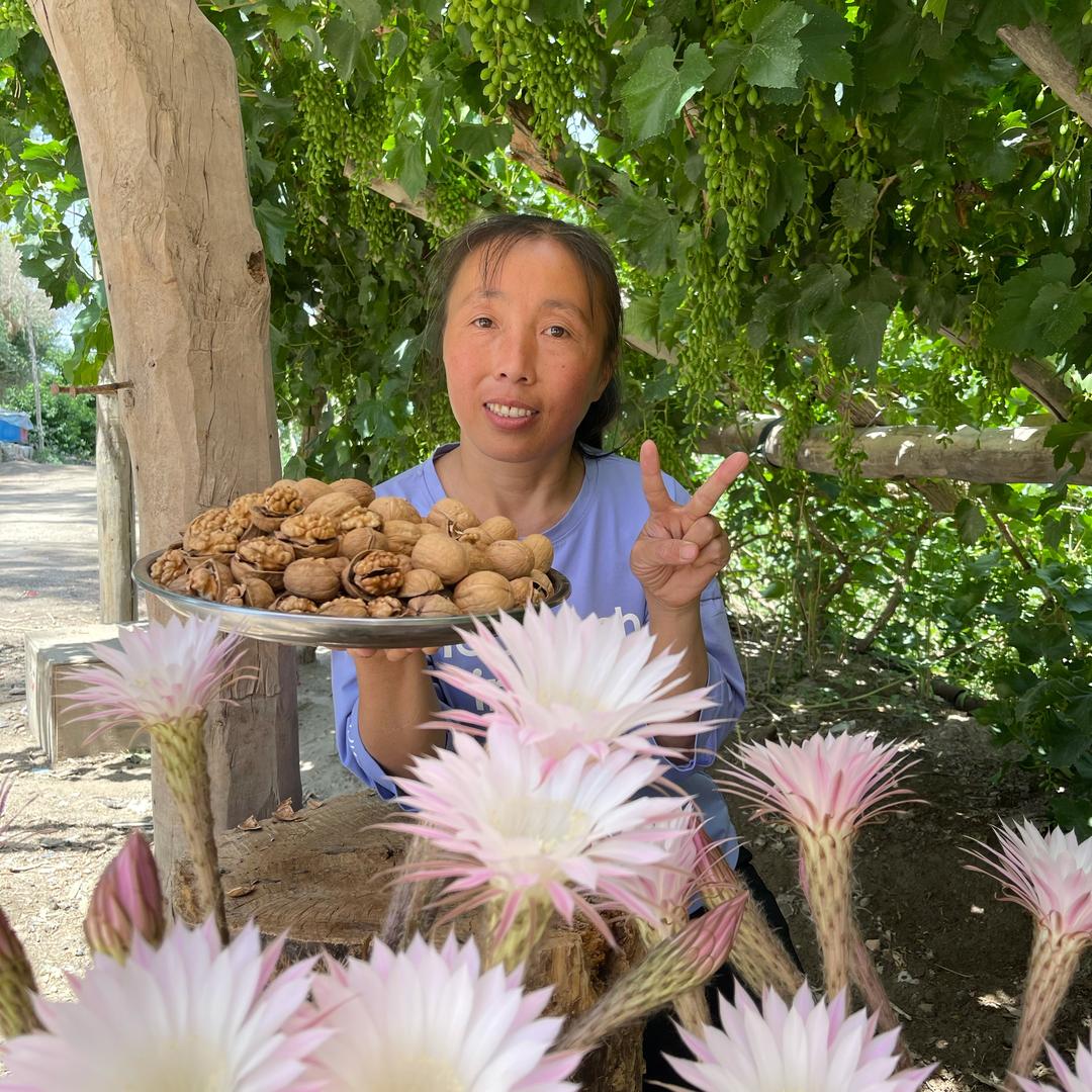 笑对人生(红美干果)
