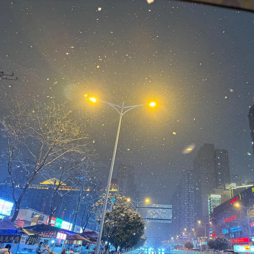 💕💕是苗啊☘️