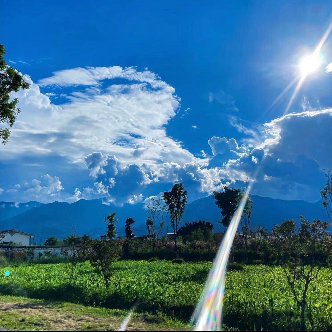 明绿香型明绿液