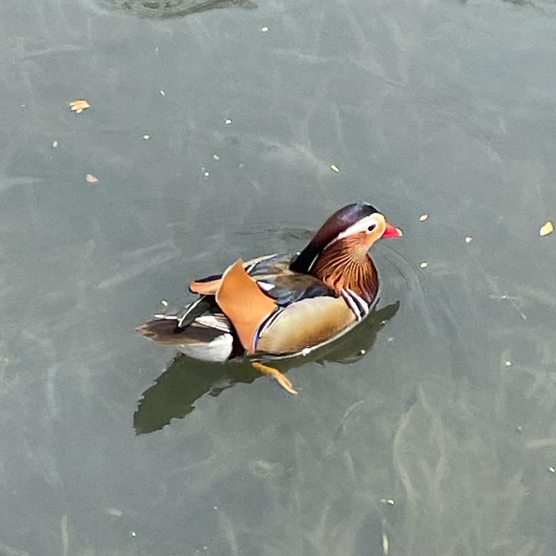 🚬ᥫᦸᐝ余生我🍻独行ꦿ࿐