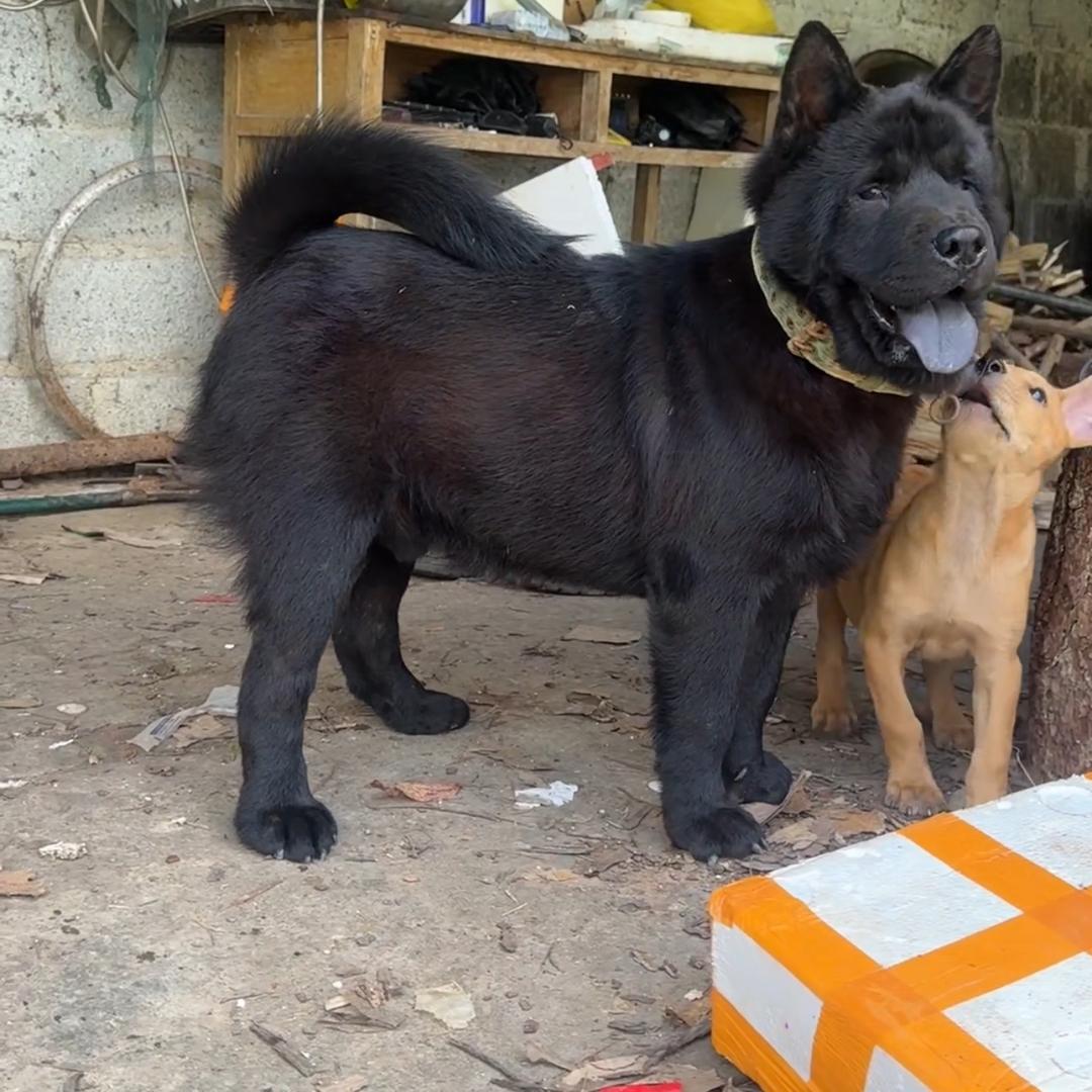 平平淡淡的生活拿得起，放得下。