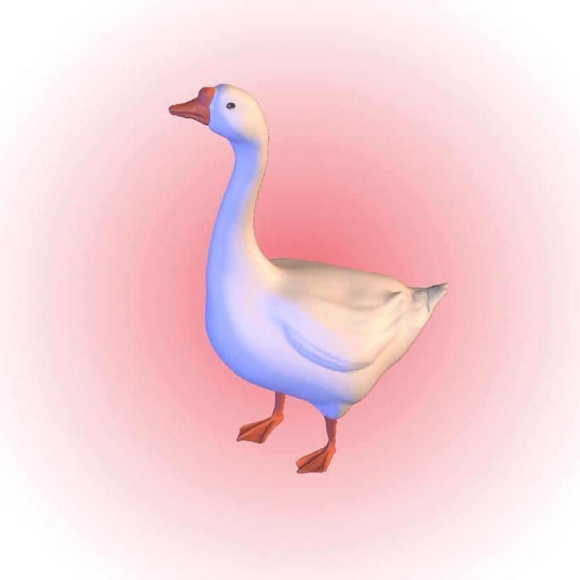 凡哥讲养殖