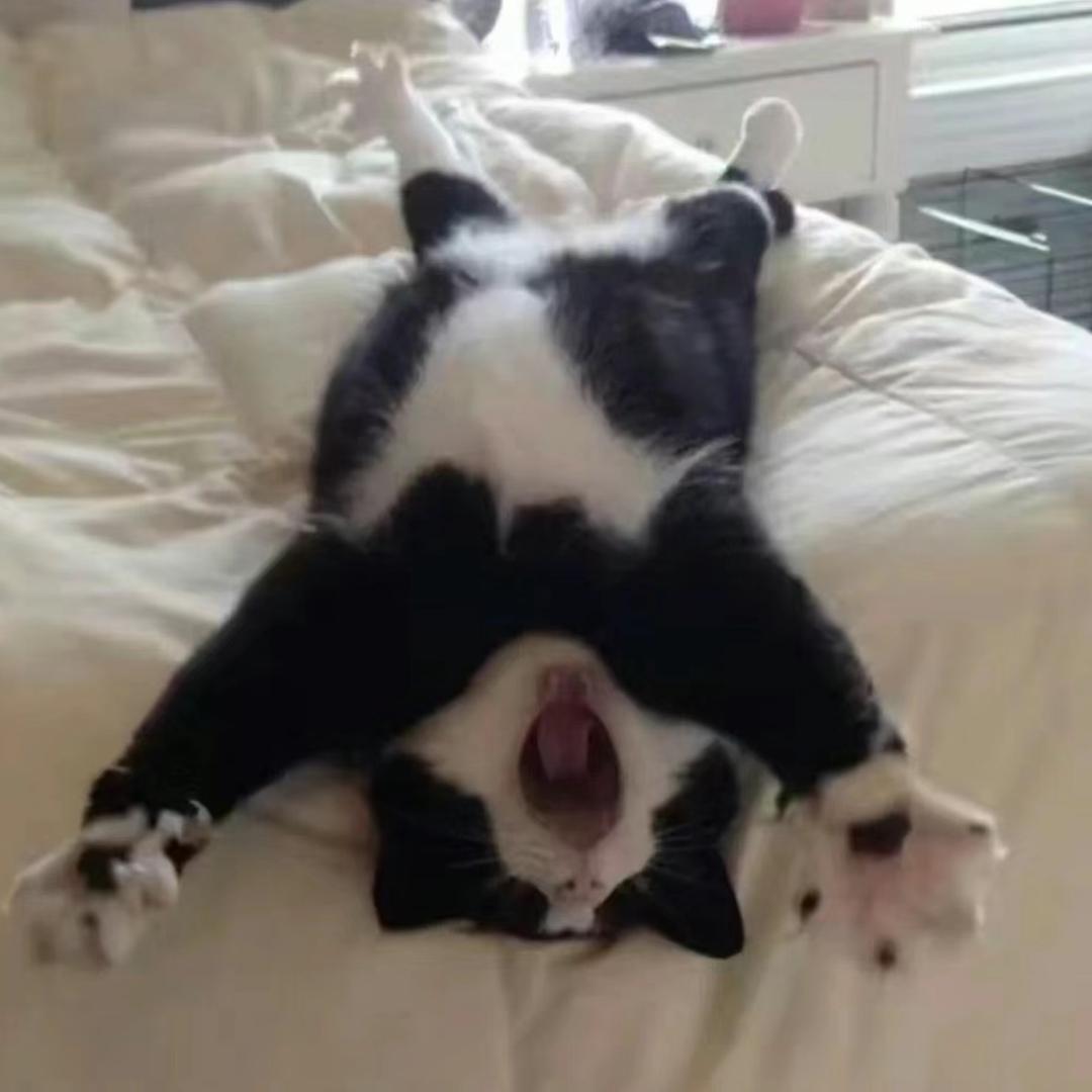 哦..