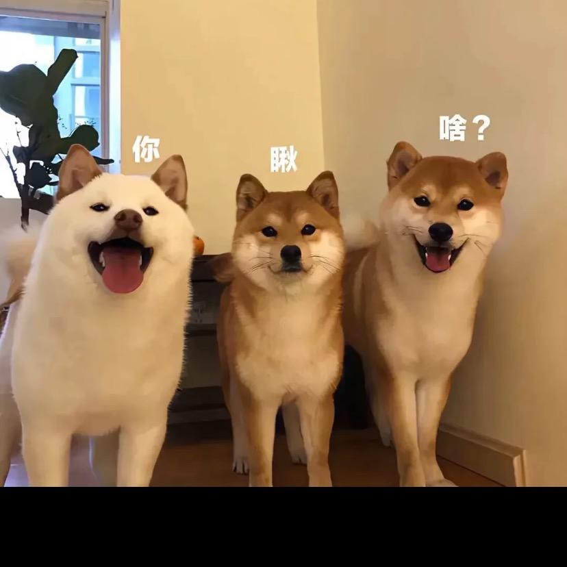 烟花易落