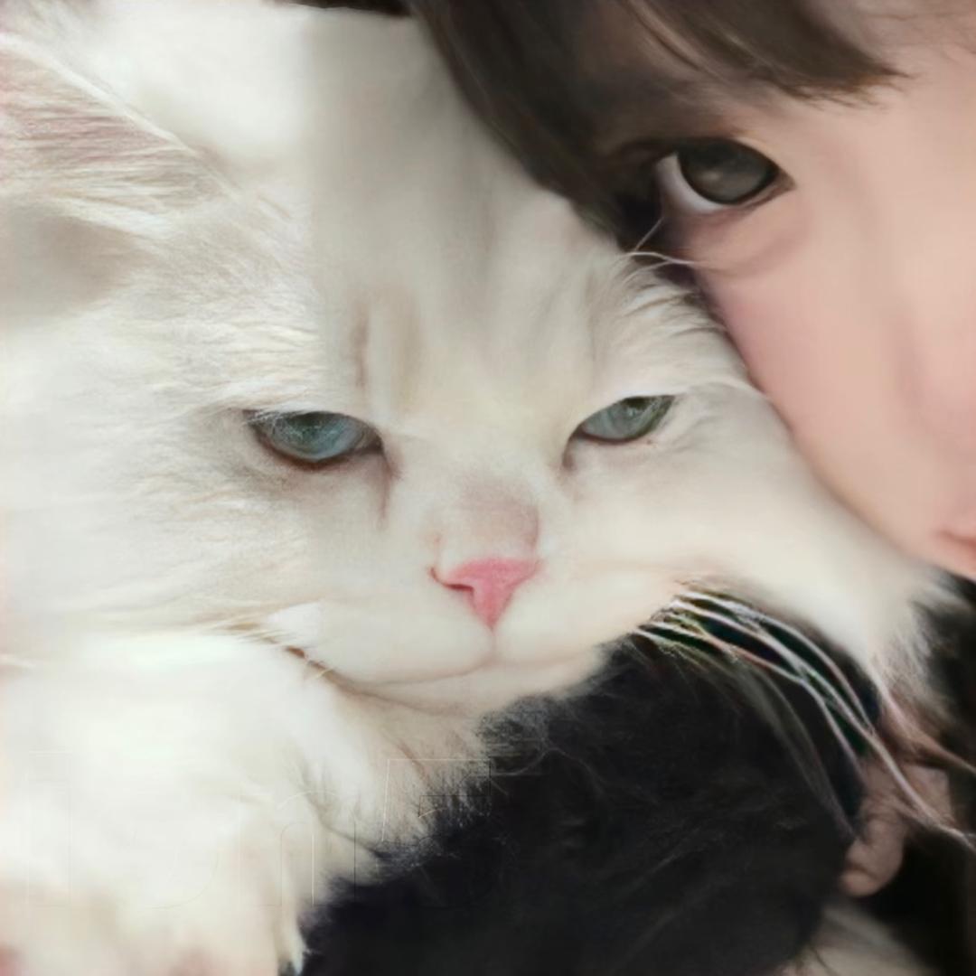 高长恭-
