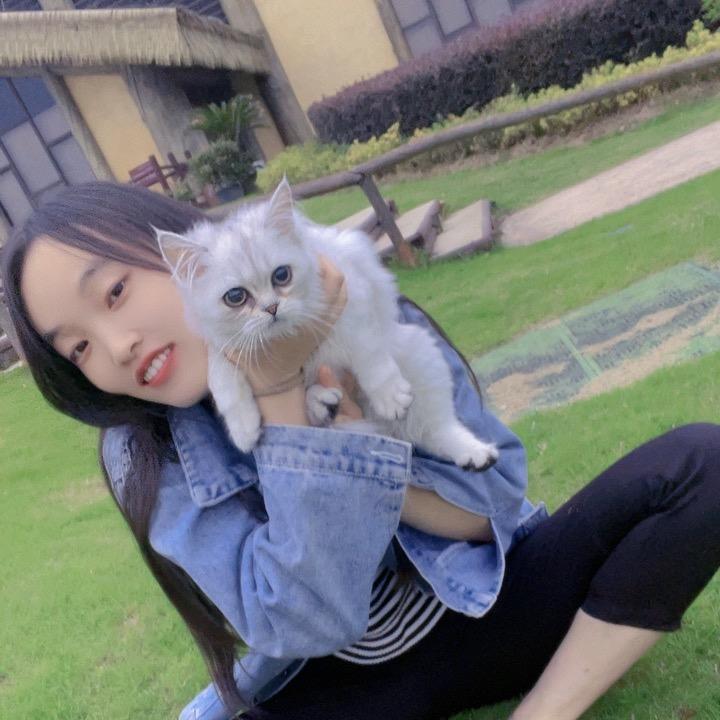 努力才是最好的