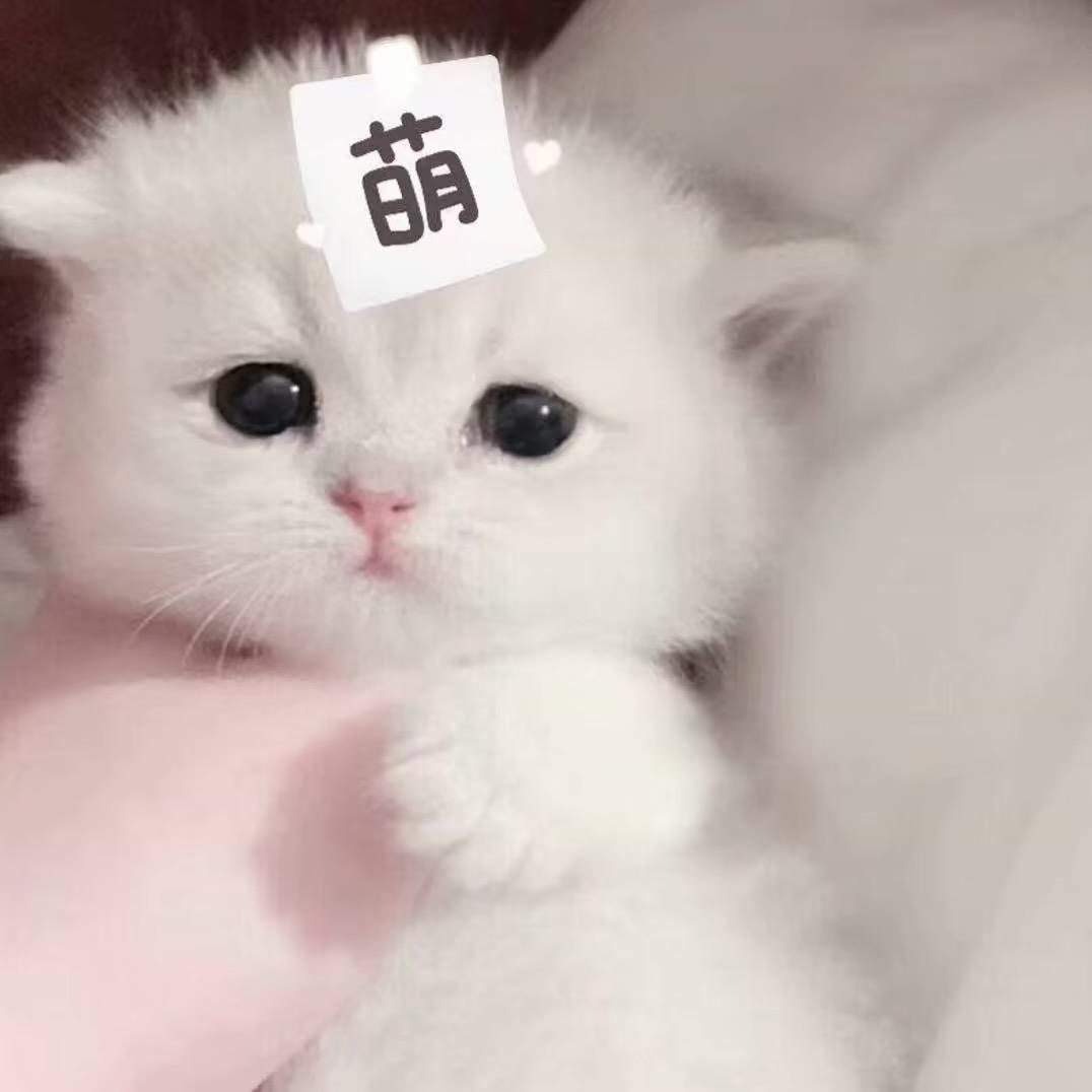 听说你也爱喝椰汁