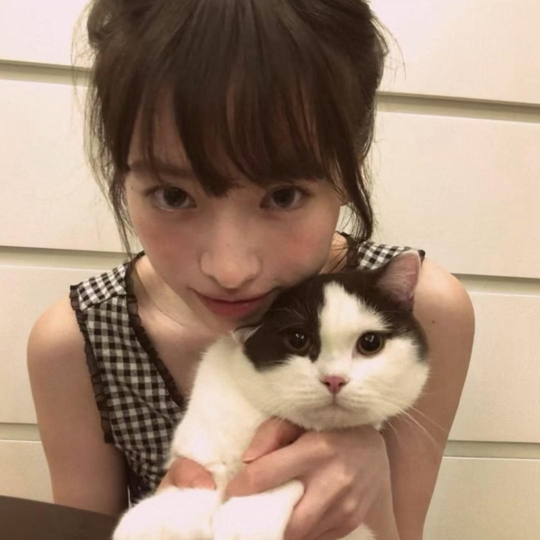 芋圆狗丸