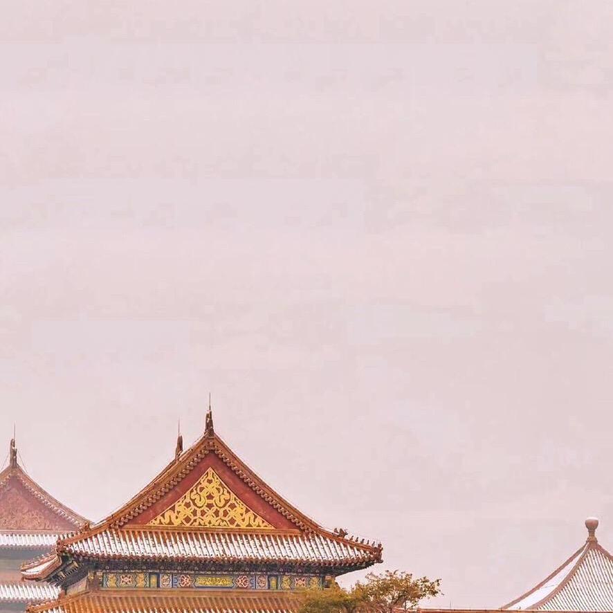 你是年少的欢喜