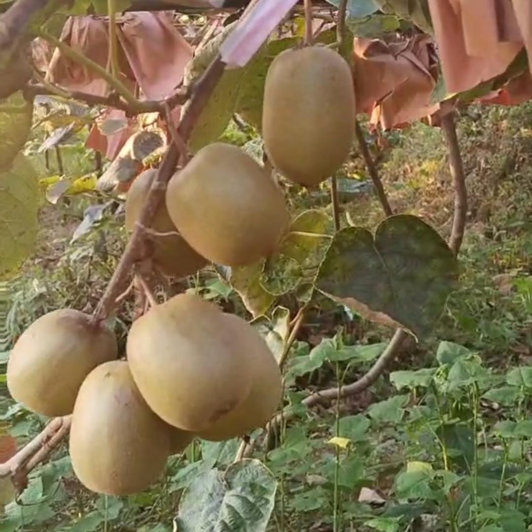 太阳🌞会出来的