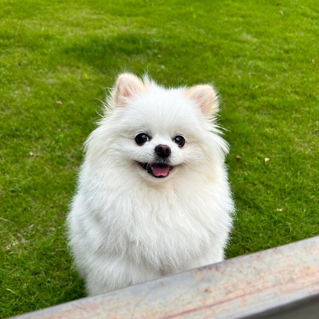 小气🐶惜惜吖