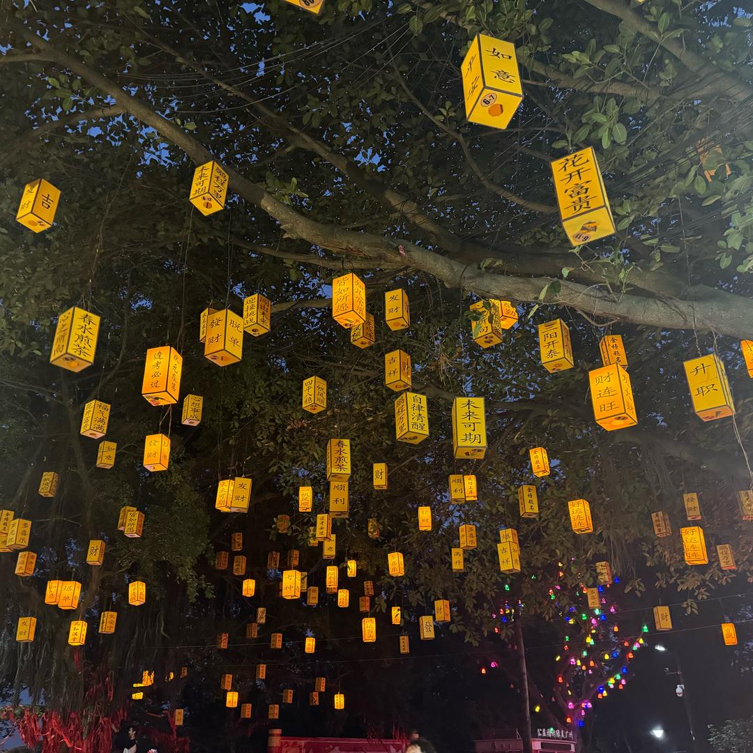 不错啦