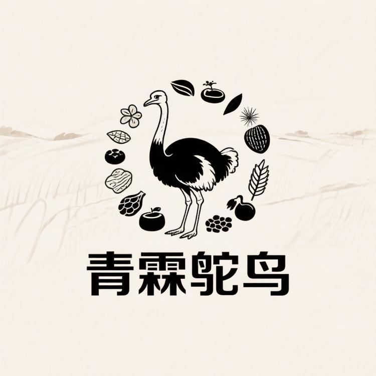 青霖鸵鸟精选