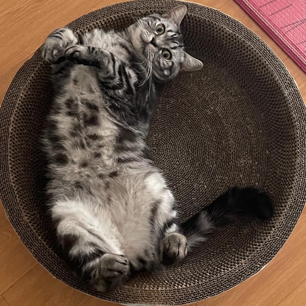 与颖