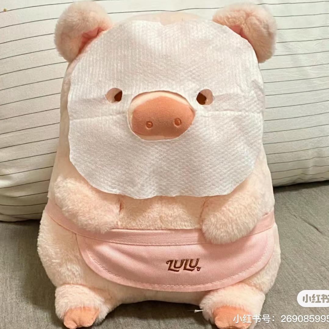 一只小飞猪🐷