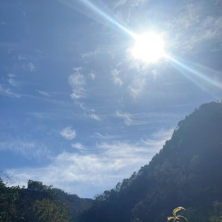 已读乱回