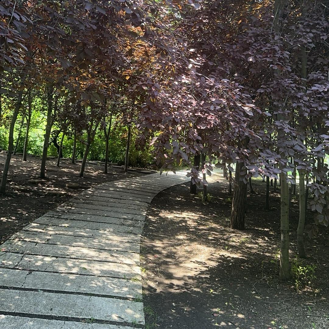 ^_^乐呵^_^大叔^_^