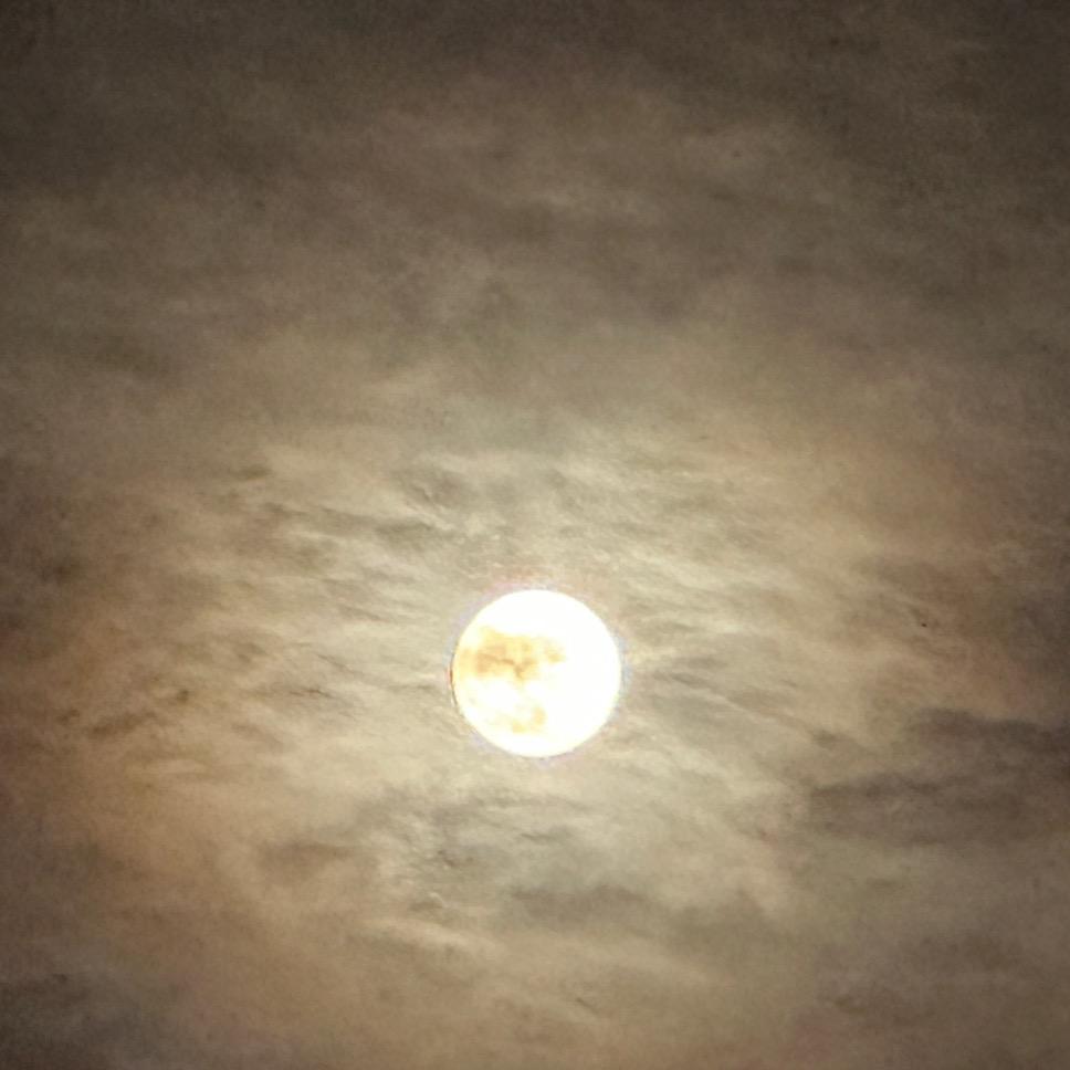 坚定的唯十个勤天主义者