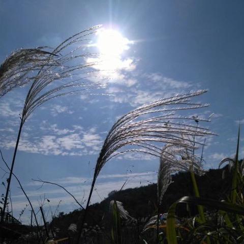 静隅