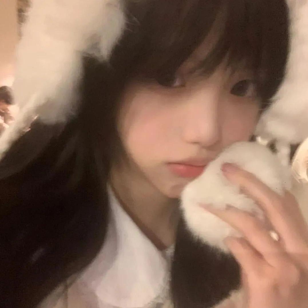 稳稳🦋