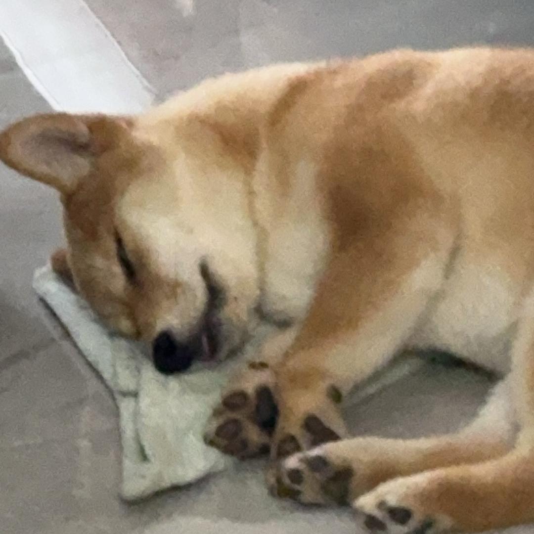 昆明沐铂科技有限公司