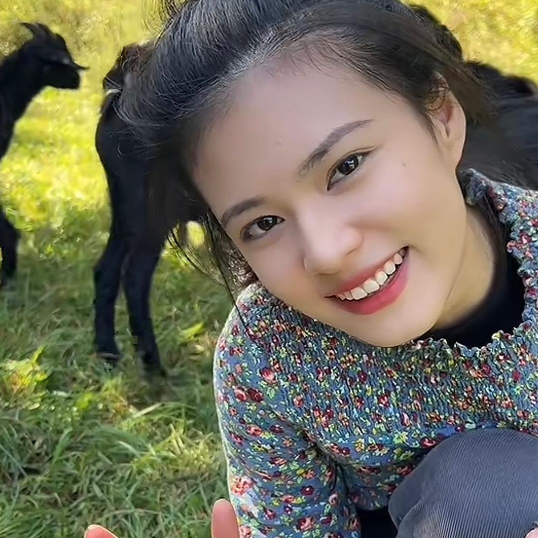 羊一坨