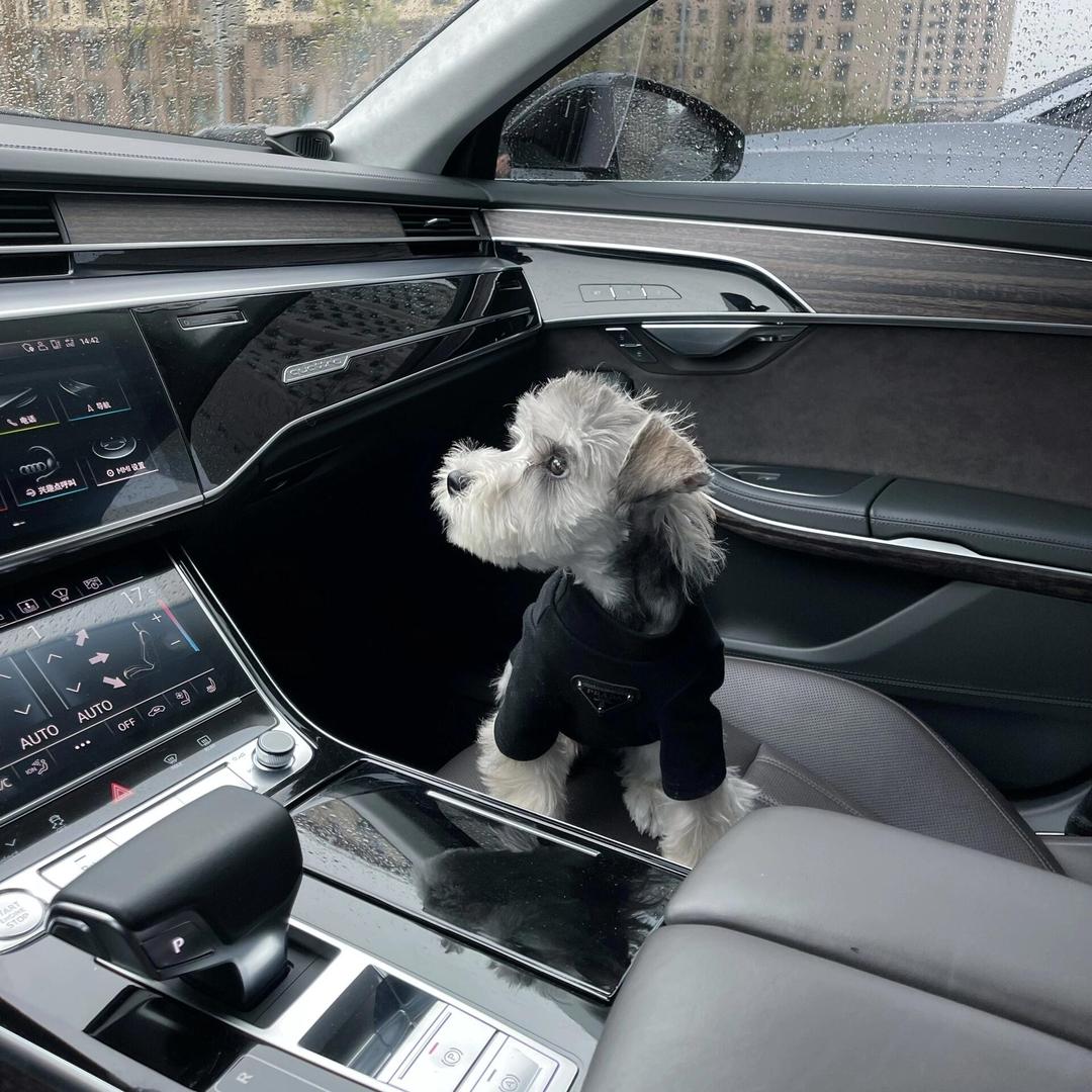 我长大要开飞机