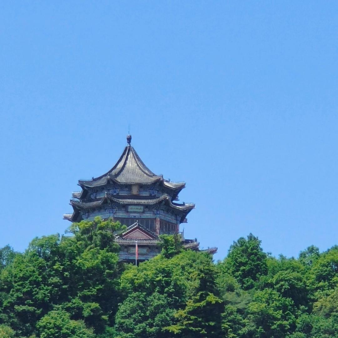 最熟悉的陌路人