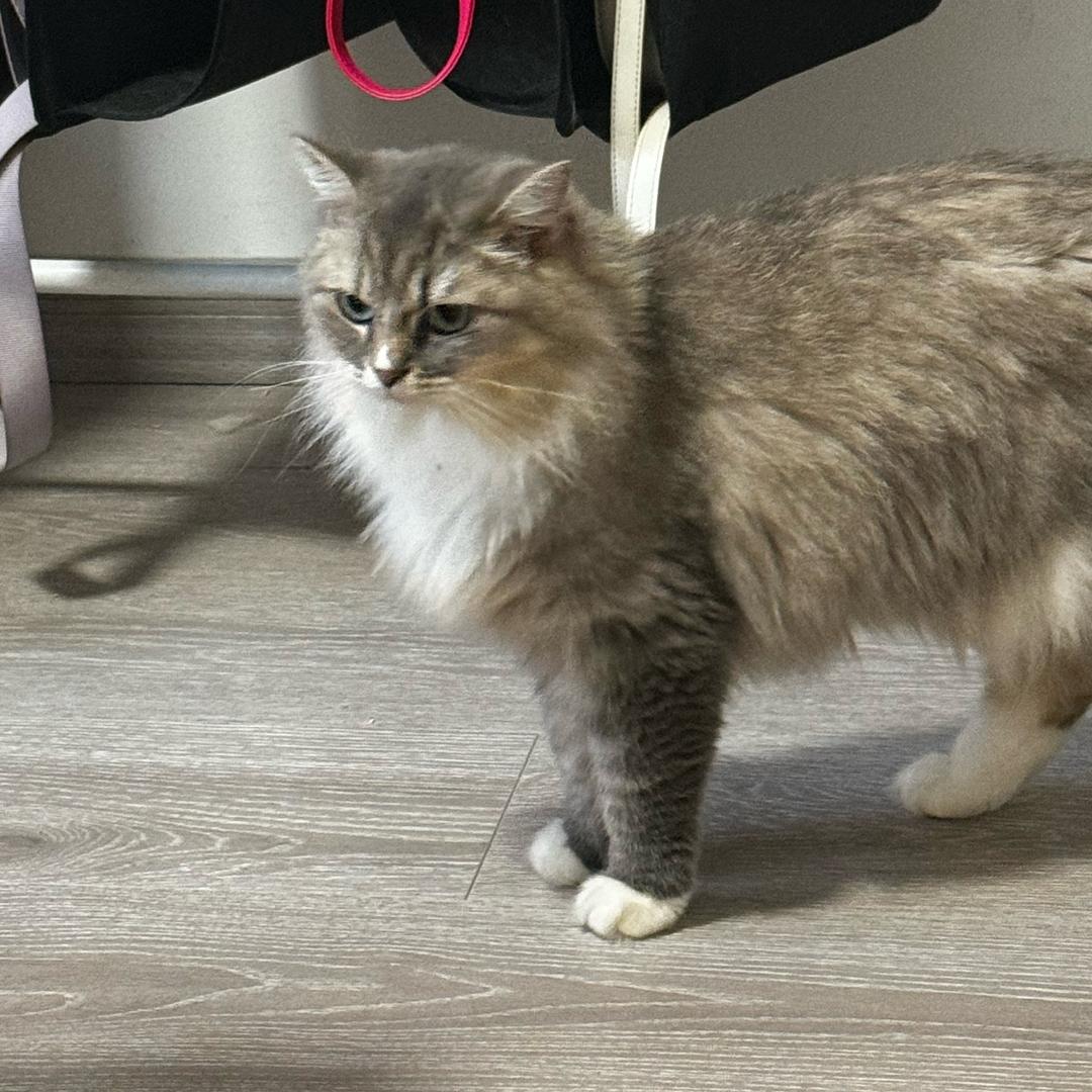 李恩的抖音