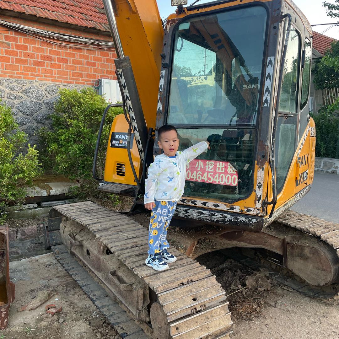 荣成收树 威海收树（征程基础）