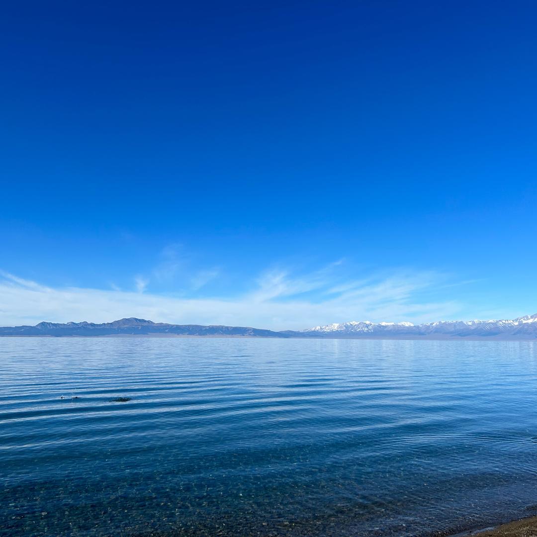 小维他他他他他